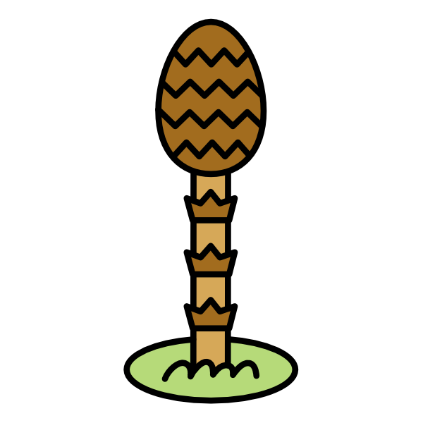 つくし（カラー）